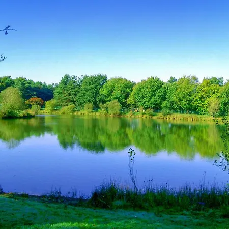 Camping Mobil 4 Pers Proche Puy Du Fou Et Montaigu *